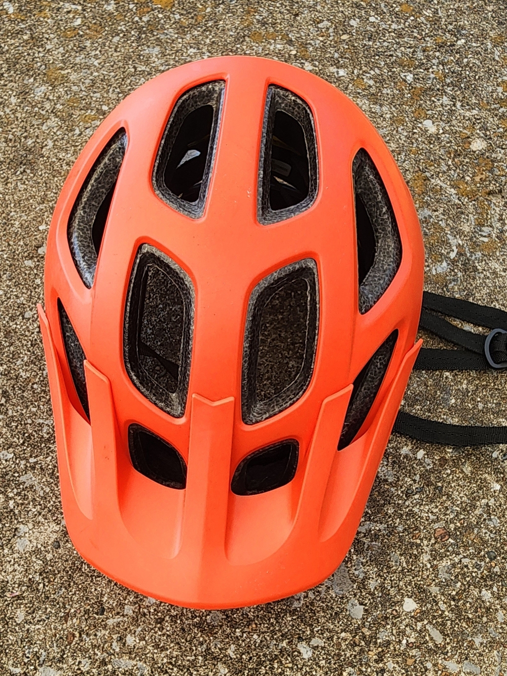 Schwinn Black and Red Bike Cycling Helmet